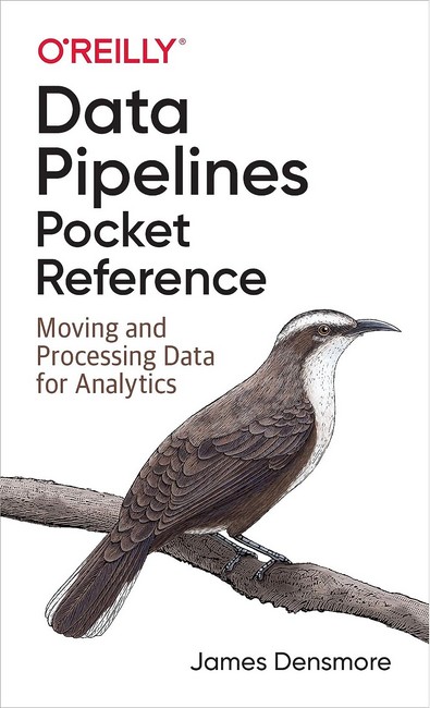 Data Pipelines Pocket Reference: Moving and Processing Data for Analytics 1st Edition